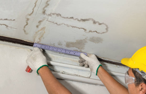 Reliable Water Damage Repair contractor in Cabin Creek, WV by Hirex Water Damage